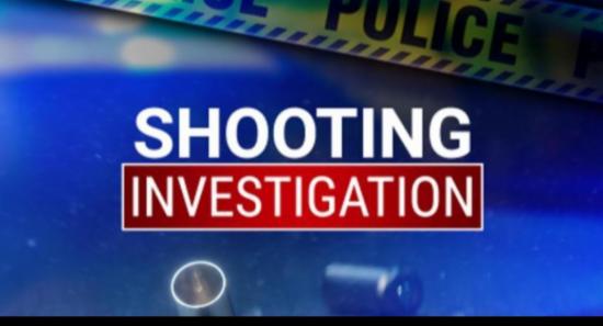 Three More Arrested Over Fatal Wattala Shooting